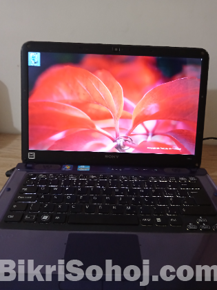Sony Vaio Laptop